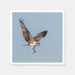 Jugendlicher Osprey im Flug Serviette
