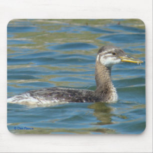 Jugendlicher rothalsiger Grebe B40 Mousepad