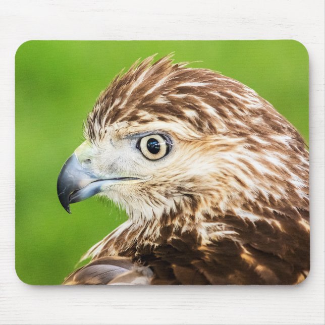 Jugendliches Rot angebundener Falke Mousepad (Vorne)