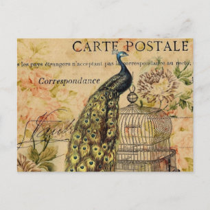 Jugendstil-Vintage-Pfau Französisch Provinzial Postkarte