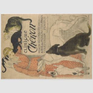 Jugendstilposter 21 Tiere Dame Decoupage Seidenpapier