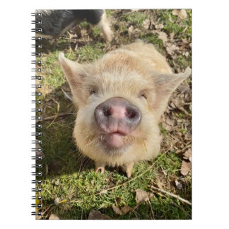 Juggling Daisies Mona-Notebook Notizblock