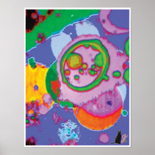 Juicey KC Image Poster