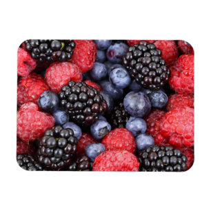 Juicy and Ripe Berry Fruchtmedley Magnet