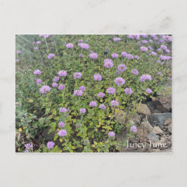 Juicy June Postkarte