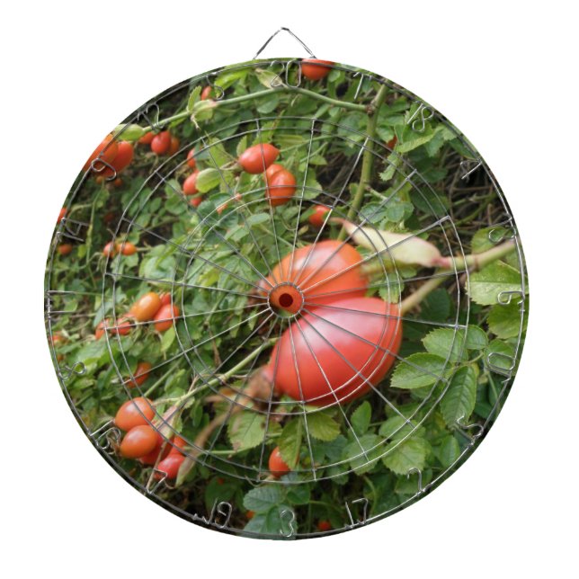 Juicy Rote Rose Hips Dart Board Dartscheibe (vorne)
