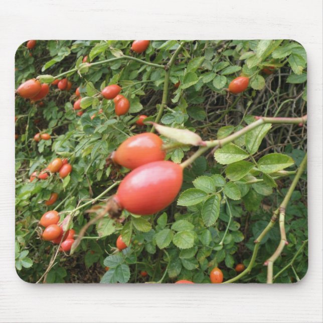 Juicy Rote Rose Hips Mousepad (Vorne)
