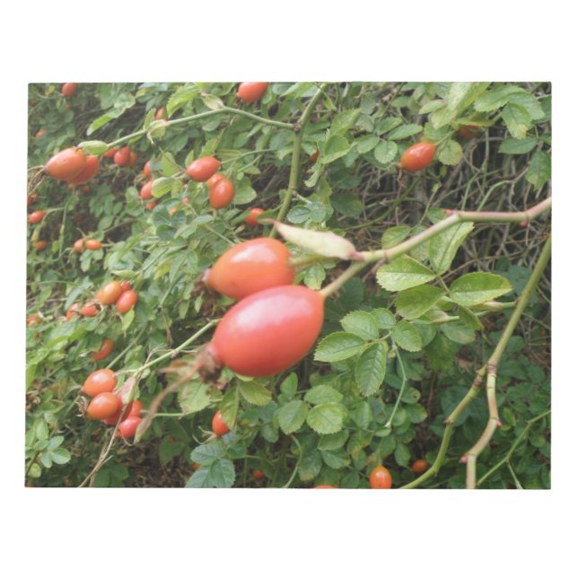 Juicy Rote Rose Hips Notepad Notizblock (Vorderseite)