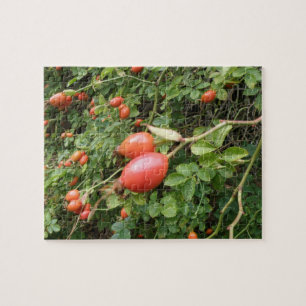 Juicy Rote Rose Hips Puzzle