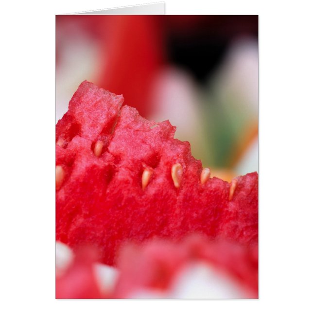 Juicy Watermelon nah-up (Vorne)