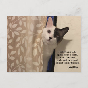 Jules Verne Cat Quote Postcard Postkarte