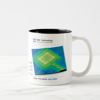 Juli 2005 - RHK Technologie: Bild des Monats Zweifarbige Tasse