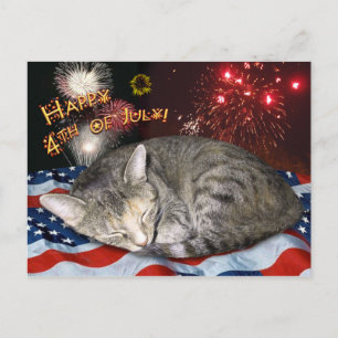 Juli Katze und Feuerwerk Postkarte