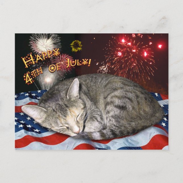 Juli Katze und Feuerwerk Postkarte (Vorderseite)