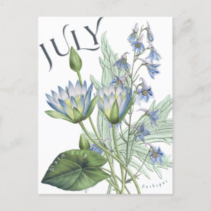 Juli Monat Blume Larkspur Wasserlilie Extravagant Postkarte
