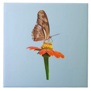 Julia-Schmetterling auf Zinnia Fliese