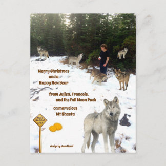 Julien, Francois und der Vollmond Pack Postkarte