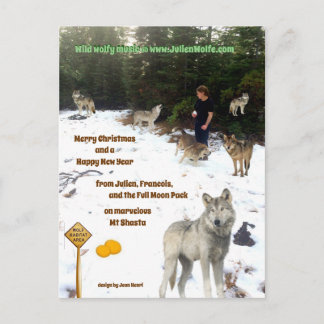 Julien, Francois und der Vollmond Pack Postkarte