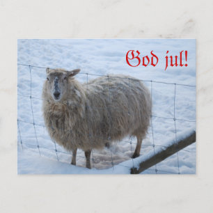 Julkort - Fåret Fjun Postkarte