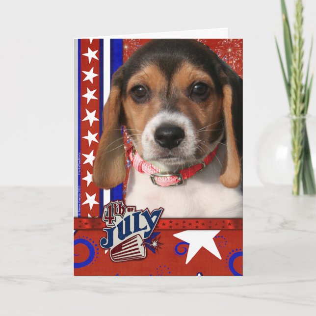 July 4th Firecracker - Beagle Puppy Karte (Vorderseite)
