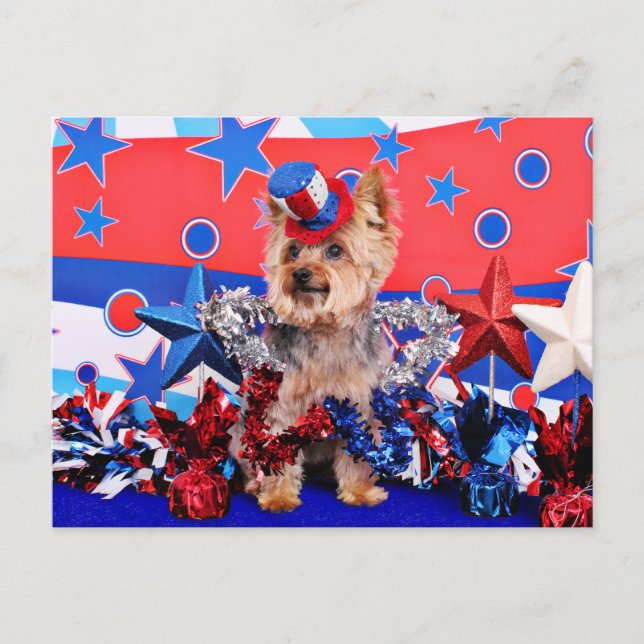 July 4th - Yorkie - Vinnie Postkarte (Vorderseite)