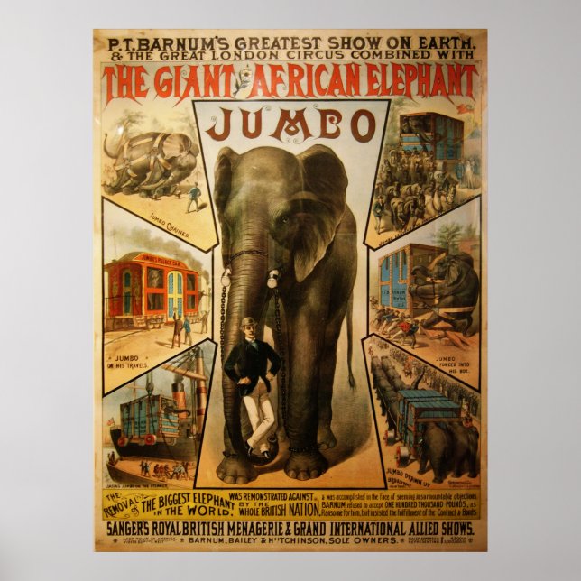 Jumbo, das Riesenafrikanische Elefantenposter Poster (Vorne)
