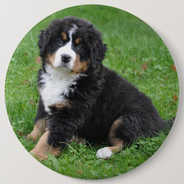 Jumbo Foto Haustier Button, Liebe deinen Hund! Button (Vorderseite)
