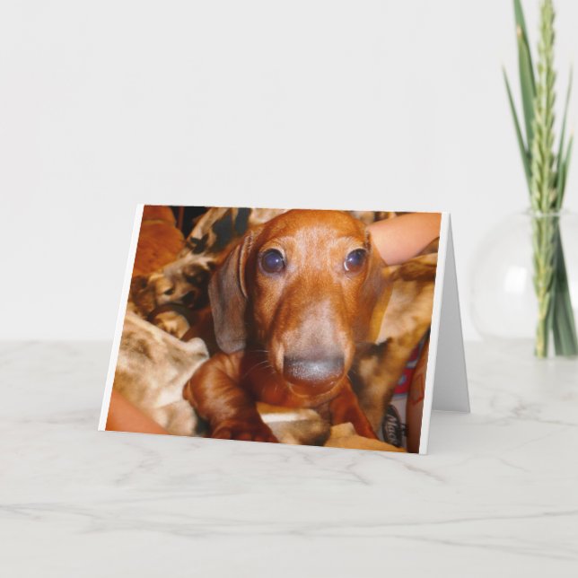 Jumbo Karte (Vorderseite)