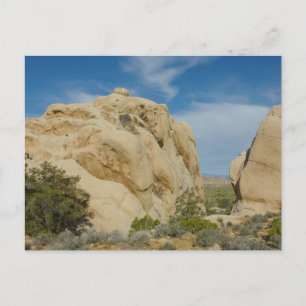 Jumbo Rocks im Joshua Tree Nationalpark Postkarte