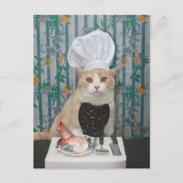 Jumbo Shrimpies! Postkarte (Vorderseite)