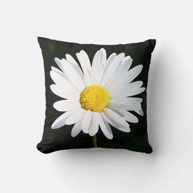 Jumbo White Shasta Daisy Blume Pillow Kissen (Vorderseite)