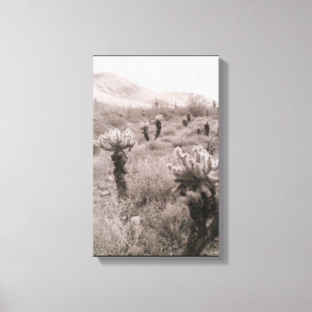 Jumping Cholla Cactus Desert B&W Foto Prints Leinwanddruck (Vorderseite)