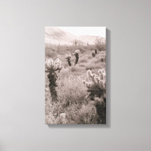 Jumping Cholla Cactus Desert B&W Foto Prints Leinwanddruck