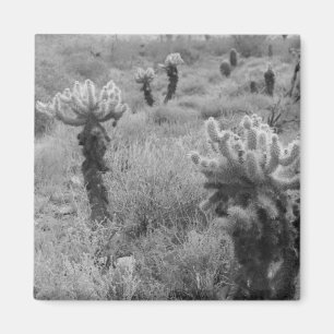 Jumping Cholla Cactus Desert Kühlschrank Magnete
