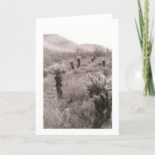 Jumping Cholla Cactus Wüste Foto Grußkarte Karte