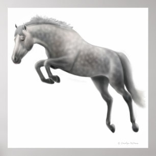 Jumping Dappled Gray Horse Poster
