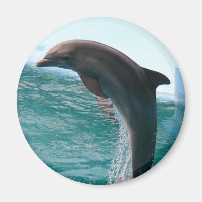 Jumping Dolphin Magnet (Vorne)