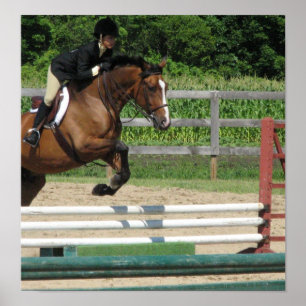 Jumping Horse Poster Print