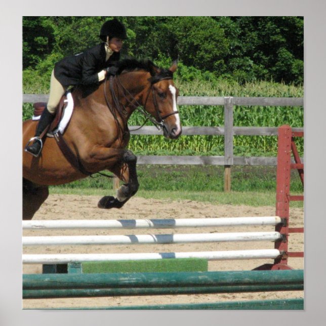 Jumping Horse Poster Print (Vorne)