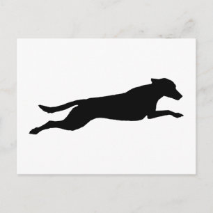 Jumping Hund Silhouette Postkarte