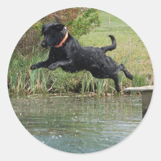 Jumping im schwarzen Labor Runder Aufkleber