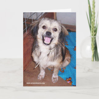 Jumping Jack Flash Grußkarte Karte