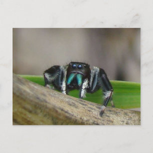 Jumping Jack! Postkarte