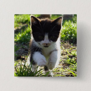Jumping Kitty Button