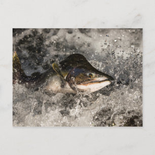 Jumping Lmon Postkarte