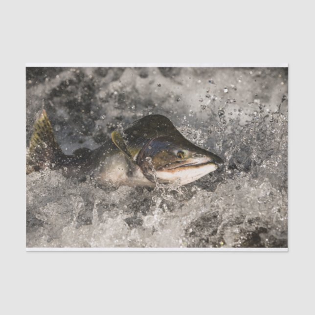 Jumping Lmon Seidenpapier (Vorderseite)