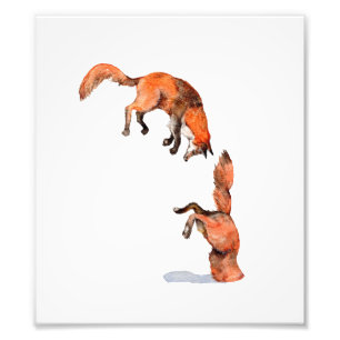 Jumping Red Fox Fotodruck