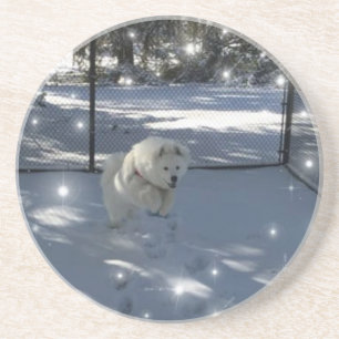 Jumping Samoyed im Untersetzer