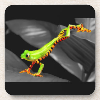Jumping Tree Frog Untersetzer