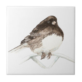 Junco Bird Art Fliese